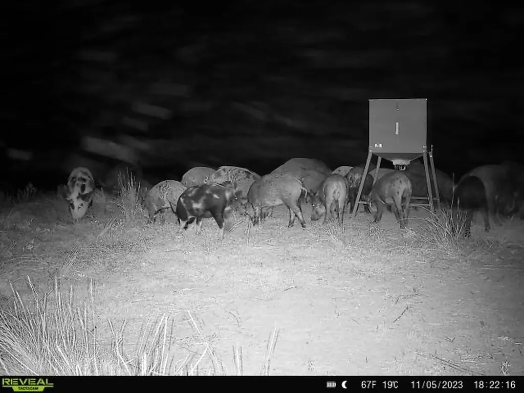 551 Blevins Road Nocona TX 76255