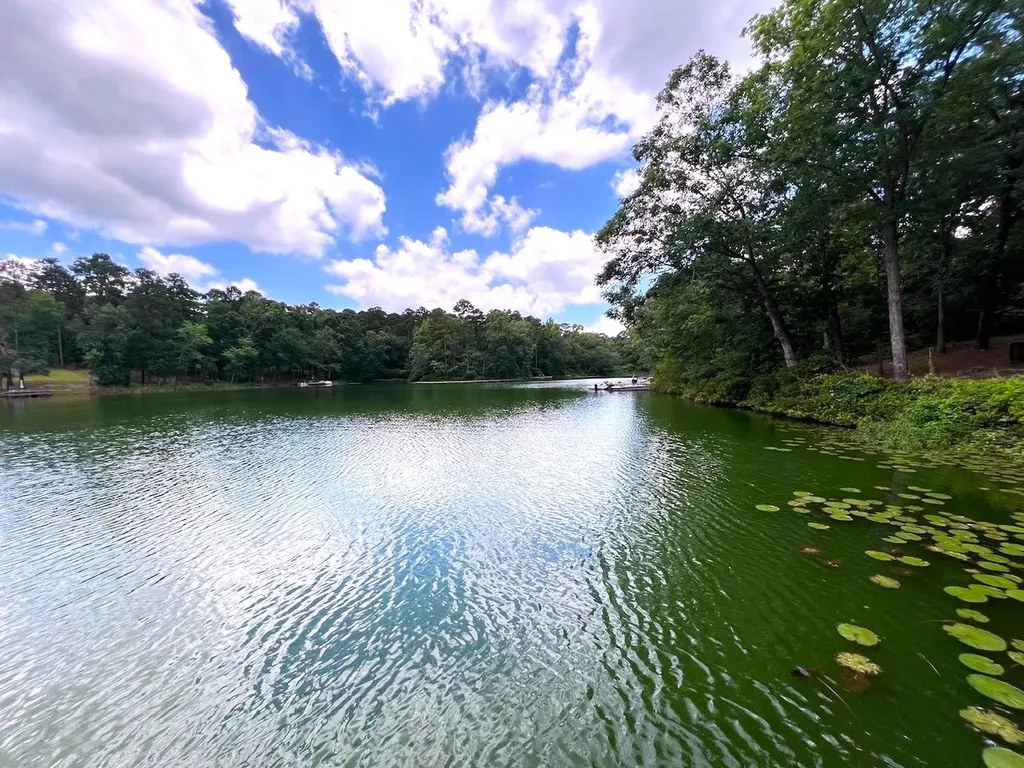 254 Cr 4595 Winnsboro TX 75494