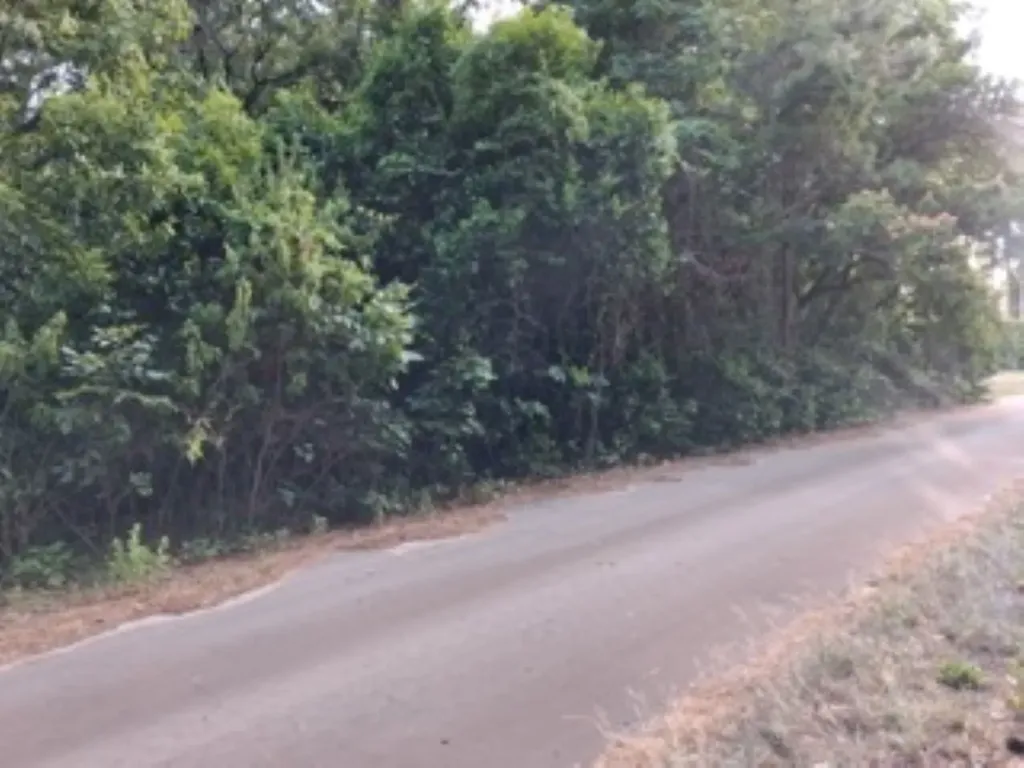 Tbd Chapparal Run Murchison TX 75778