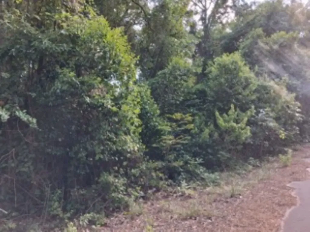 Tbd Chapparal Run Murchison TX 75778