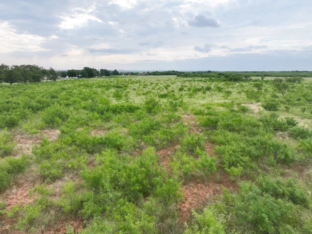 Tbd Lot 14 Cr 161 Tuscola TX 79562
