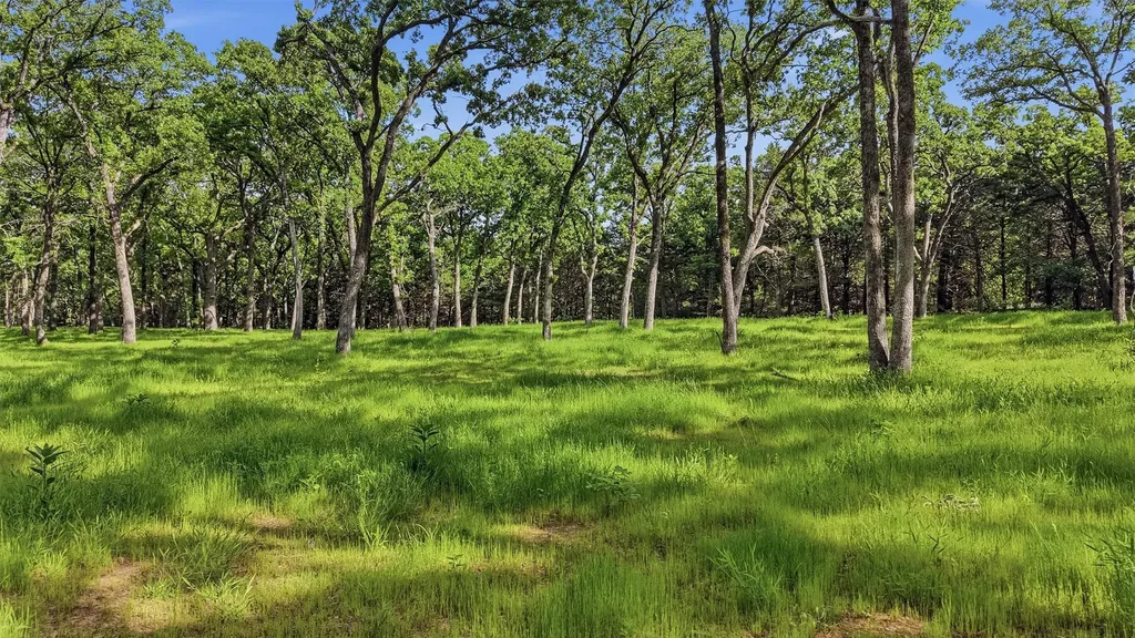 60 Doe Crossing Pottsboro TX 75076
