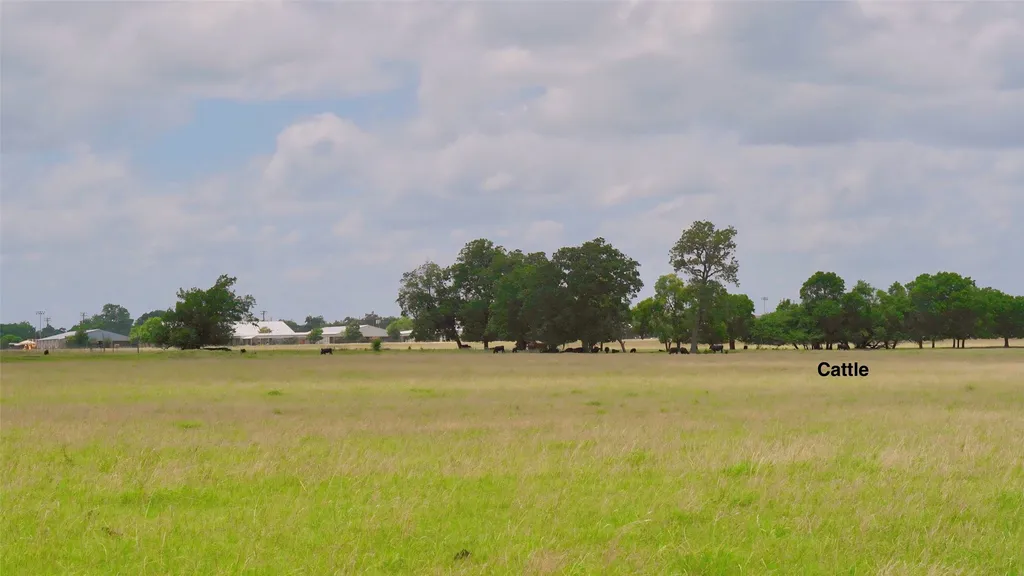 TRACT-10 E Highway 56 Honey Grove TX 75446