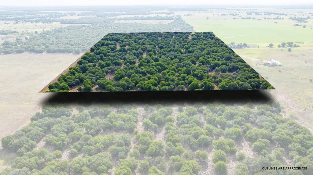 Tbd Fm 3368 Tract 2 Hawley TX 79525