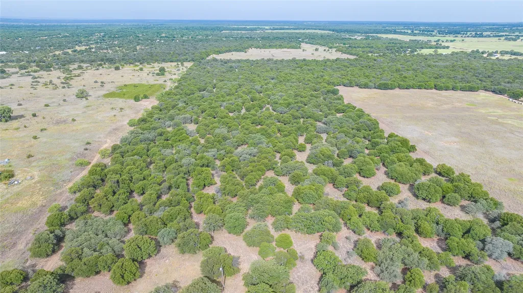 Tbd Fm 3368 Tract 2 Hawley TX 79525