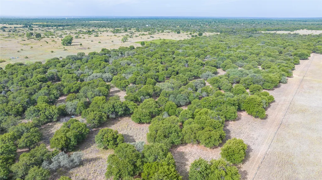 Tbd Fm 3368 Tract 2 Hawley TX 79525