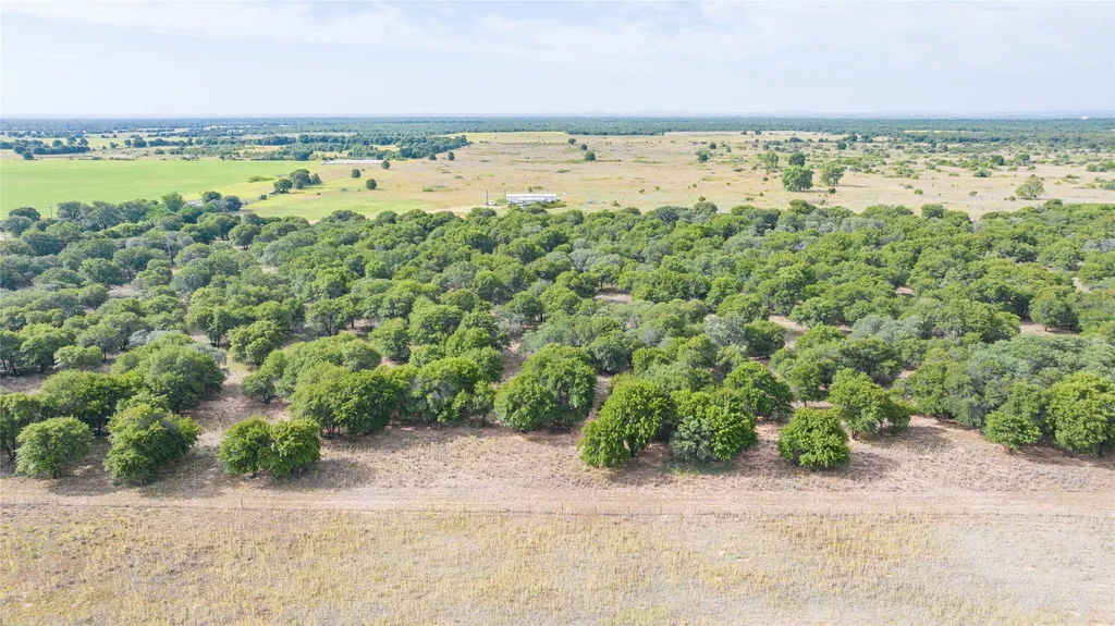 Tbd Fm 3368 Tract 2 Hawley TX 79525
