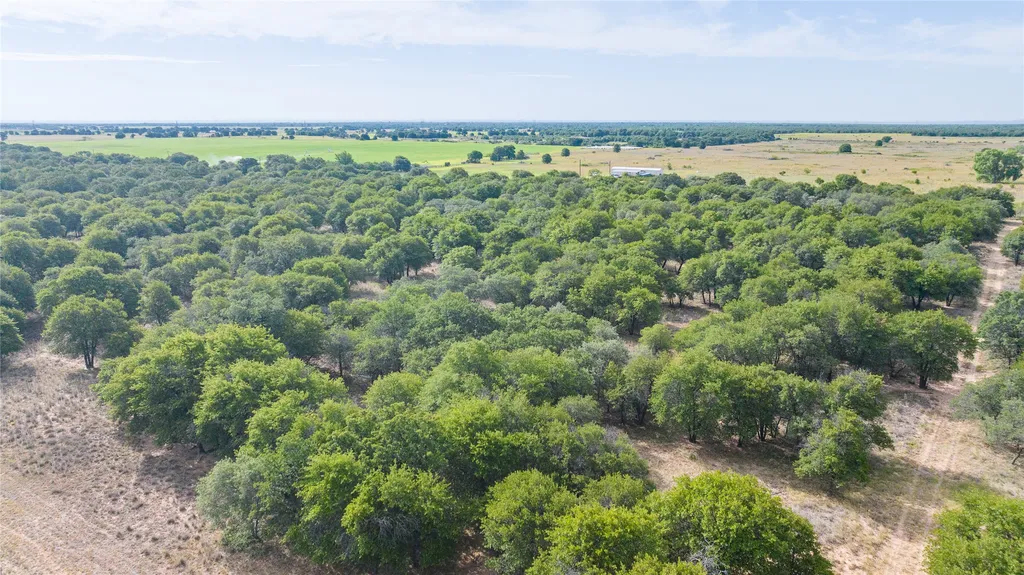 Tbd Fm 3368 Tract 2 Hawley TX 79525