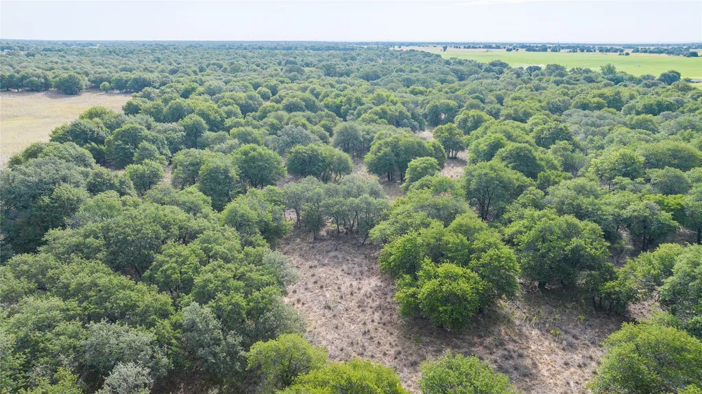 Tbd Fm 3368 Tract 2 Hawley TX 79525