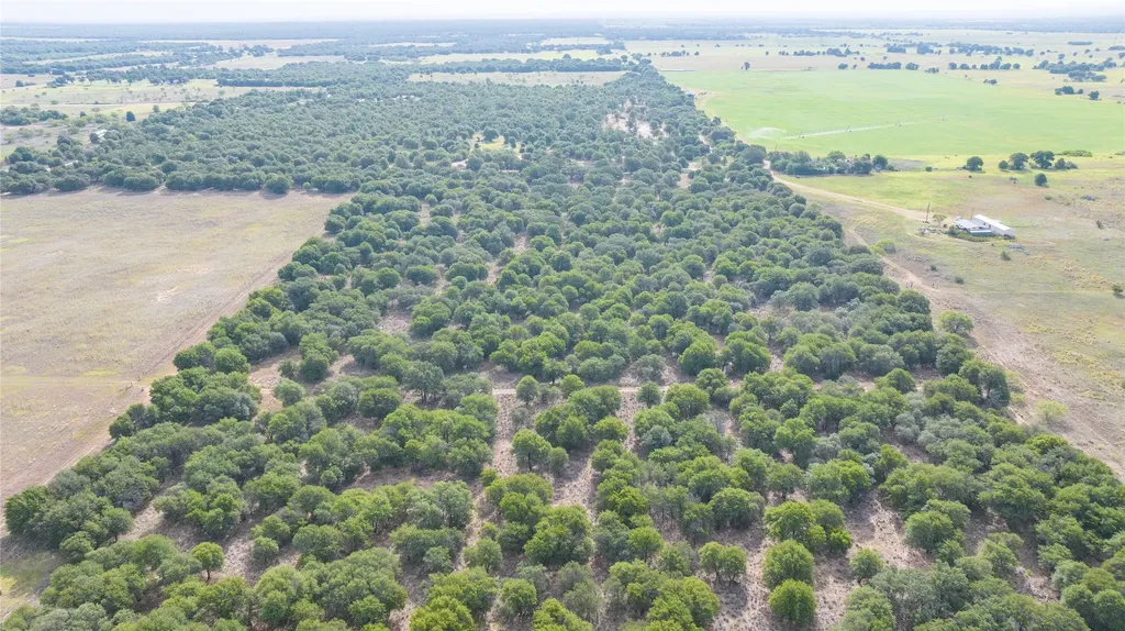 Tbd Fm 3368 Tract 2 Hawley TX 79525