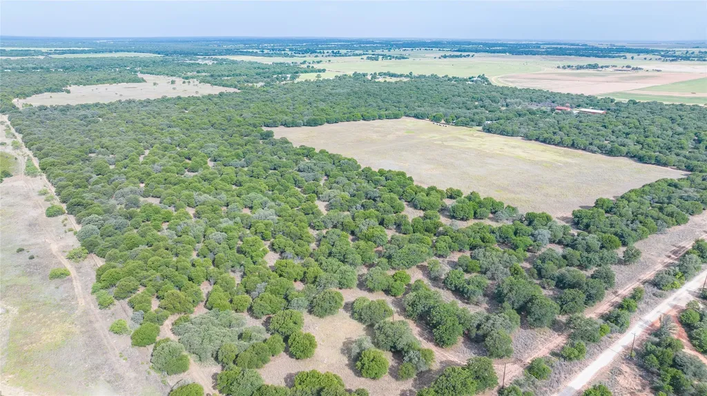 Tbd Fm 3368 Tract 2 Hawley TX 79525