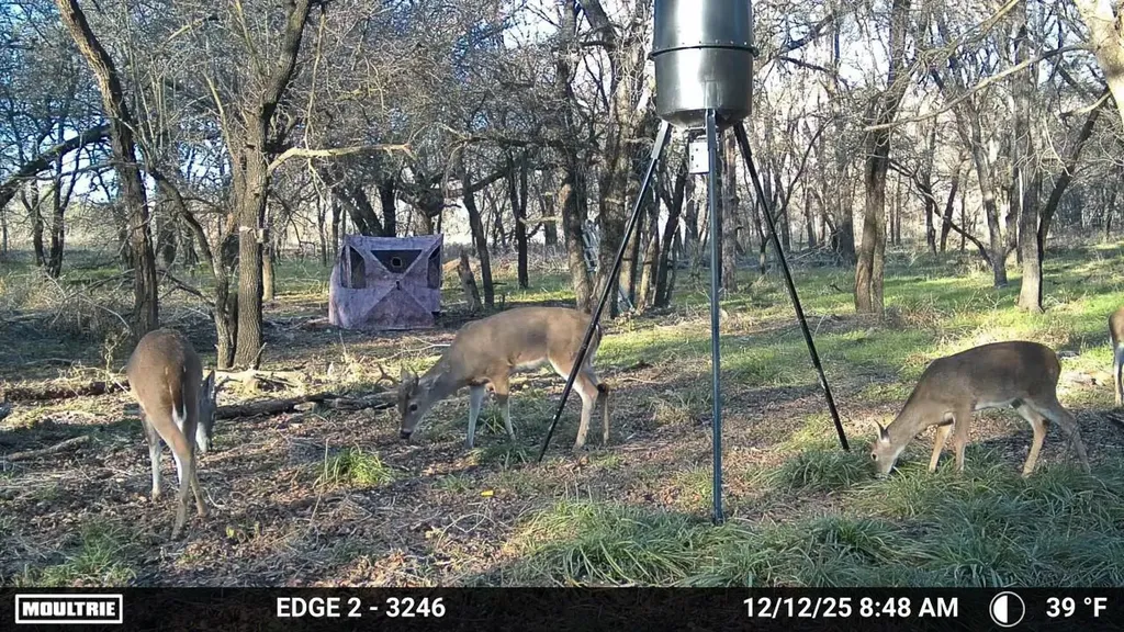 200 Patterson Lane Palo Pinto TX 76484
