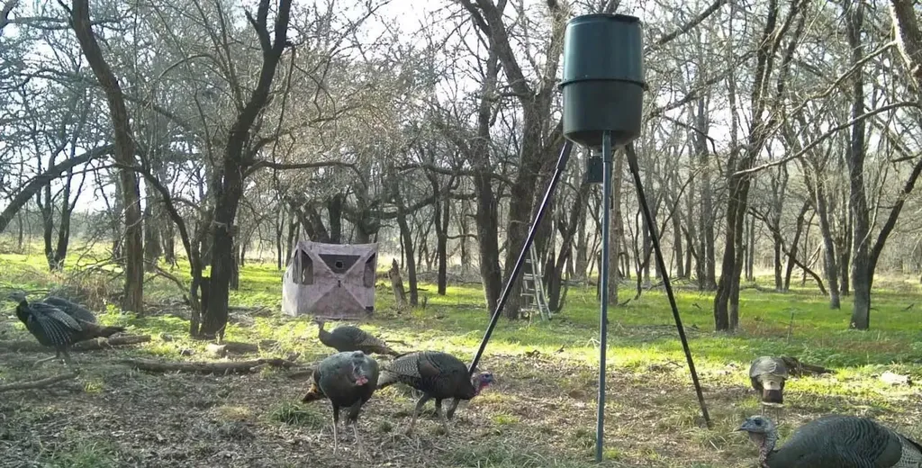 200 Patterson Lane Palo Pinto TX 76484