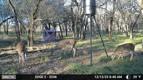 200 Patterson Lane Palo Pinto TX 76484