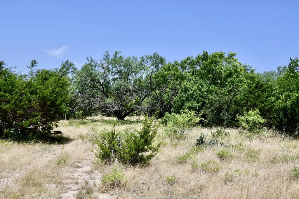 Tbd Cr 3340 Kempner TX 76539