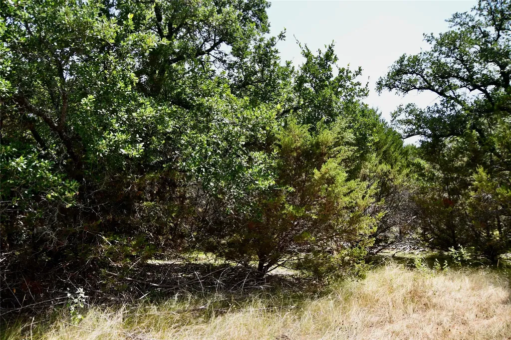 Tbd Cr 3340 Kempner TX 76539