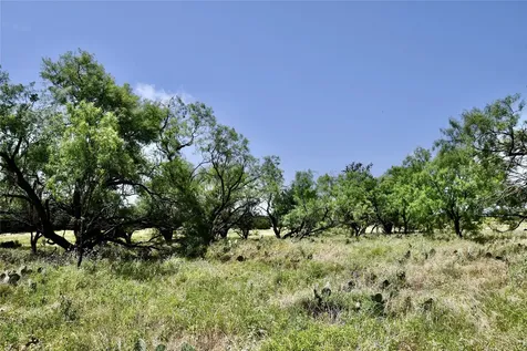 Tbd Cr 3340 Kempner TX 76539