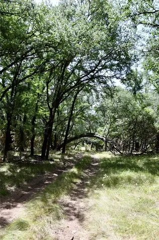 Tbd Cr 3340 Kempner TX 76539