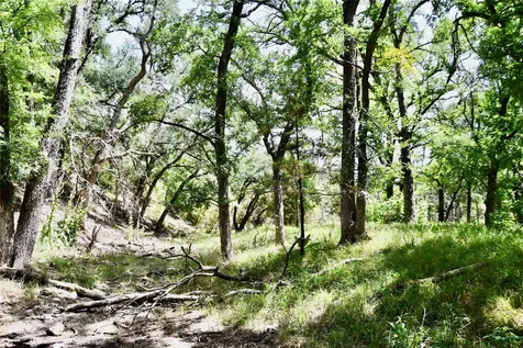 Tbd Cr 3340 Kempner TX 76539