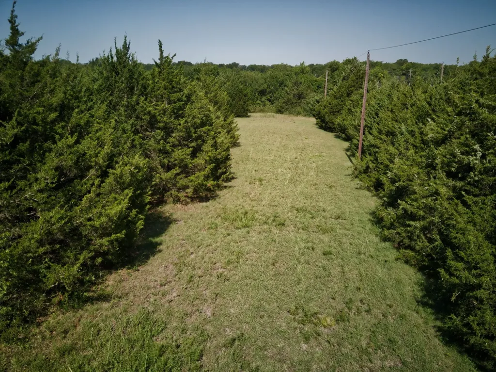 Leonard TX 75452