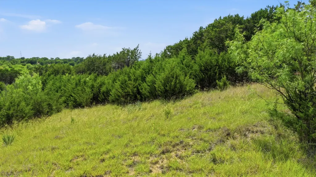Lot 909 Cinnamon Teal Possum Kingdom Lake TX 76449