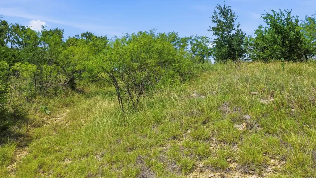 Lot 909 Cinnamon Teal Possum Kingdom Lake TX 76449