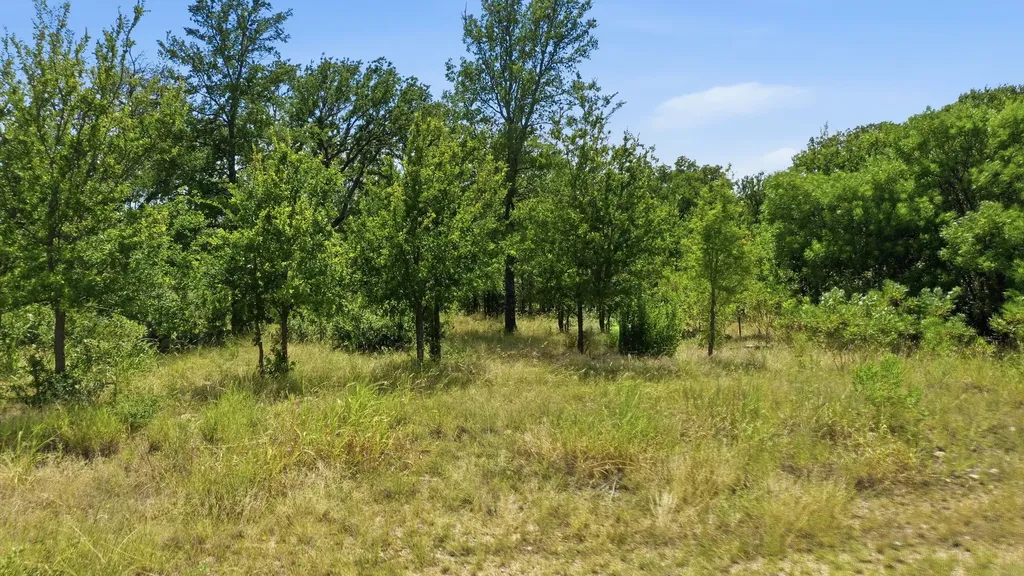 Lot 909 Cinnamon Teal Possum Kingdom Lake TX 76449