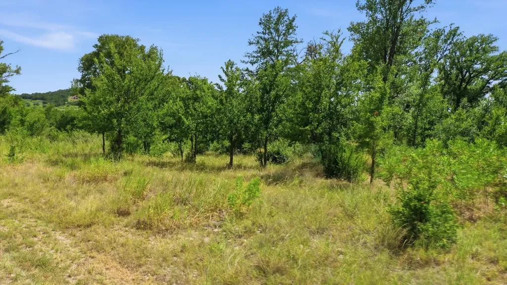 Lot 909 Cinnamon Teal Possum Kingdom Lake TX 76449