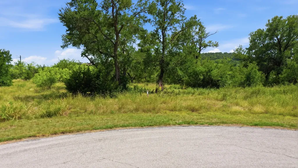 Lot 909 Cinnamon Teal Possum Kingdom Lake TX 76449