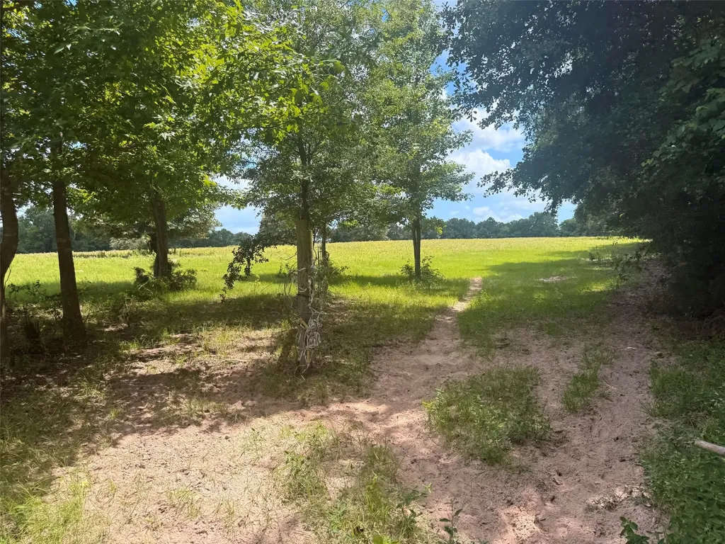5767 Fm 2339 Murchison TX 75778