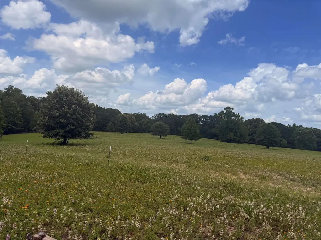 5767 Fm 2339 Murchison TX 75778