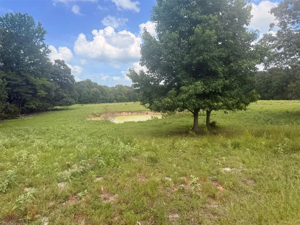 5767 Fm 2339 Murchison TX 75778