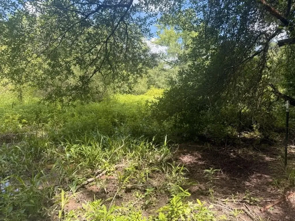 5767 Fm 2339 Murchison TX 75778