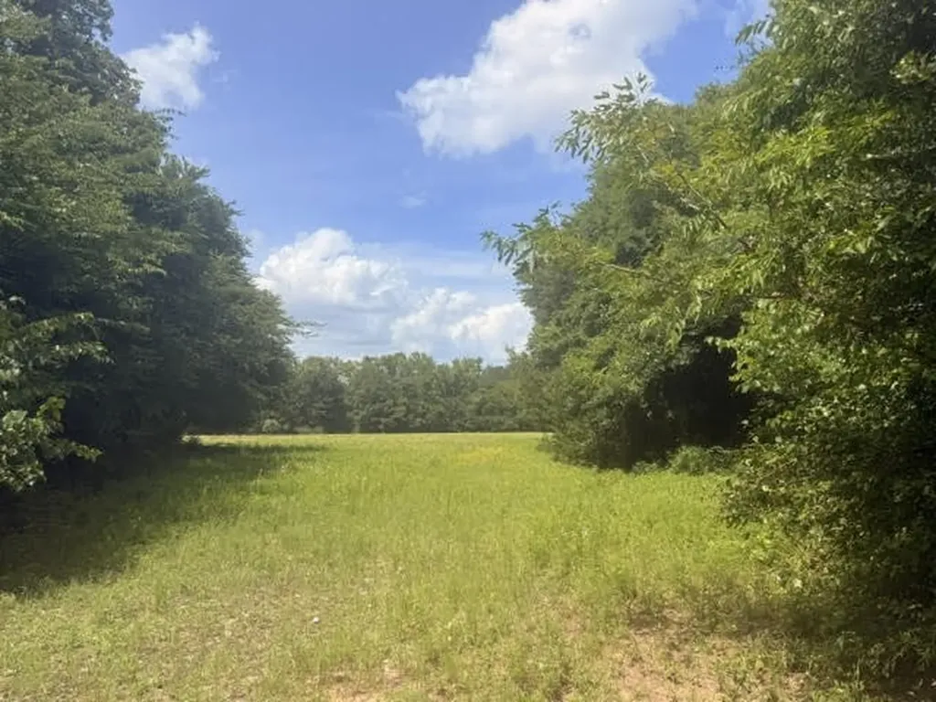 5767 Fm 2339 Murchison TX 75778