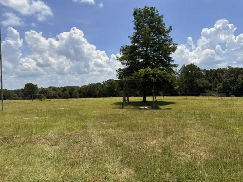 5767 Fm 2339 Murchison TX 75778