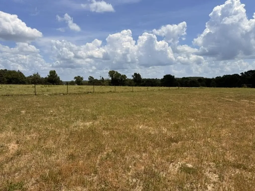 5767 Fm 2339 Murchison TX 75778