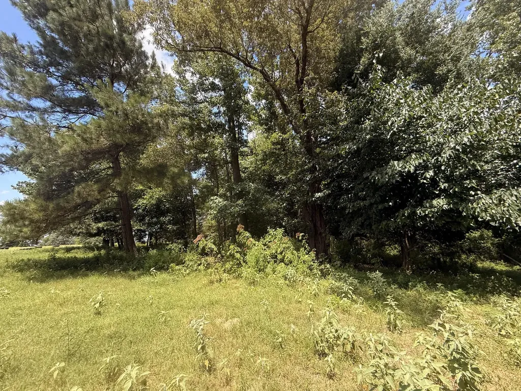 5767 Fm 2339 Murchison TX 75778