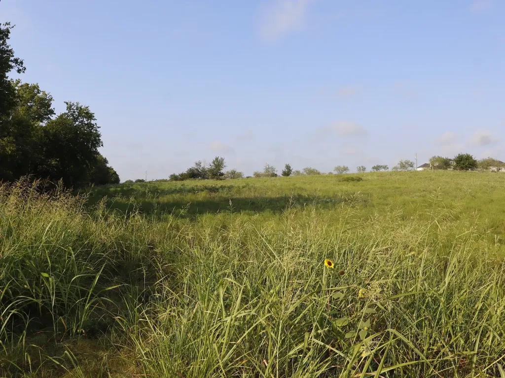Tbd Lot 3 & 4 Alsdorf Road Ennis TX 75119