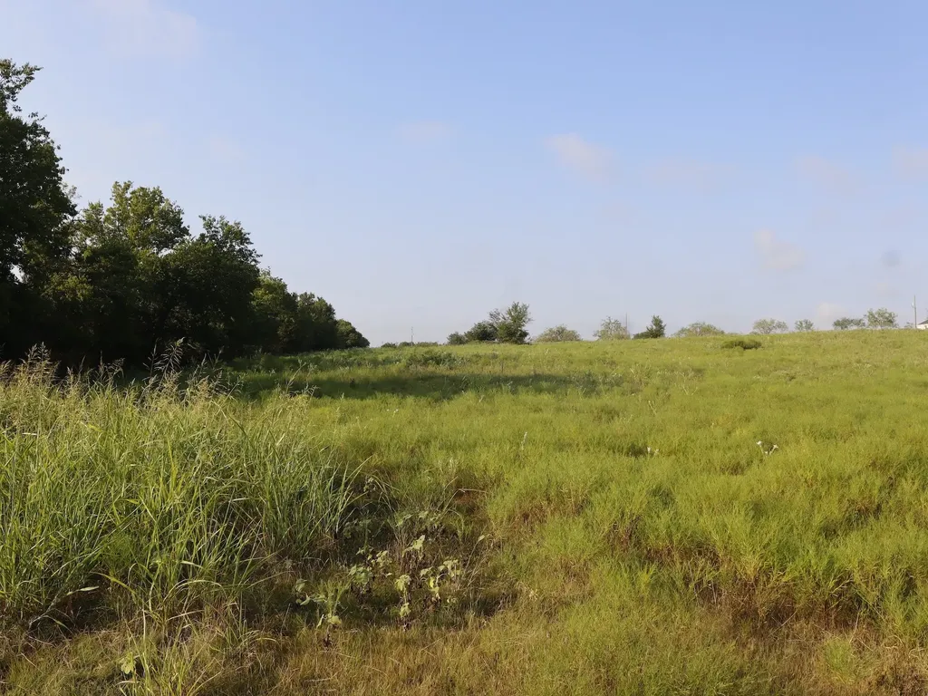 Tbd Lot 3 & 4 Alsdorf Road Ennis TX 75119