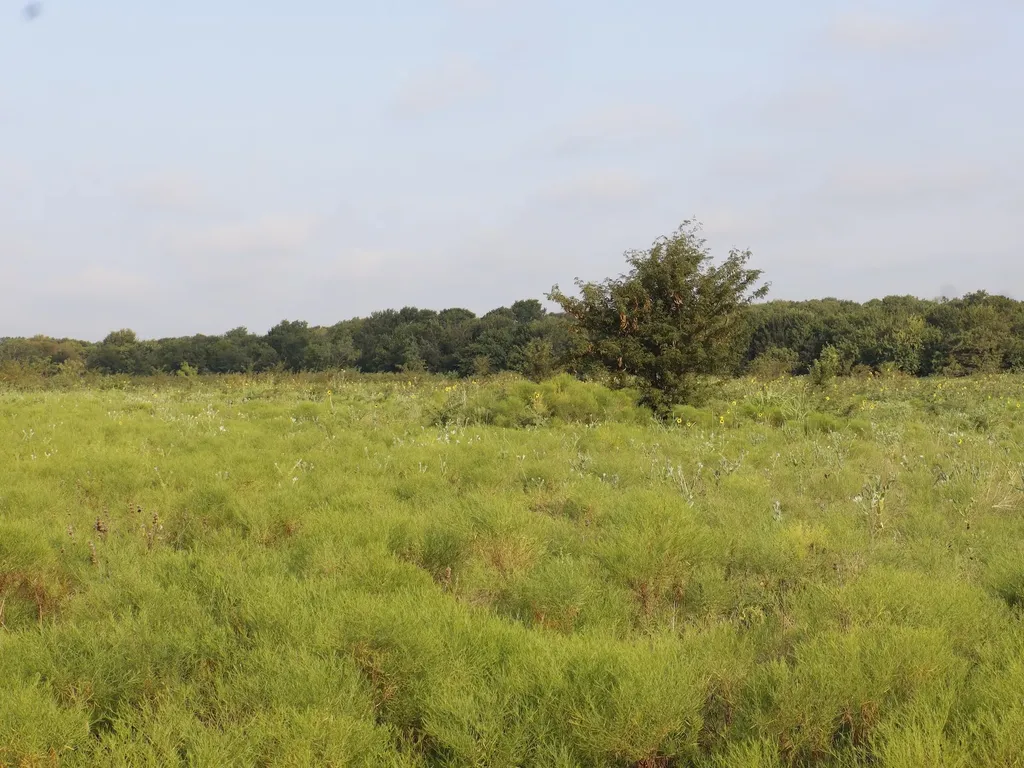 Tbd Lot 3 & 4 Alsdorf Road Ennis TX 75119