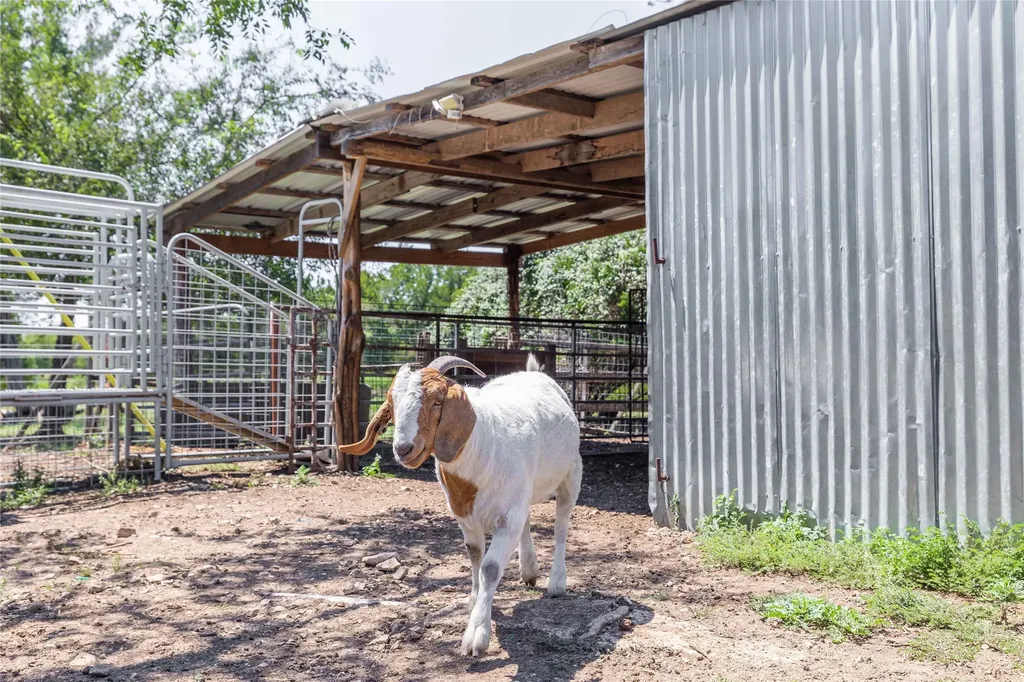 122 Homestead Drive Gatesville TX 76528