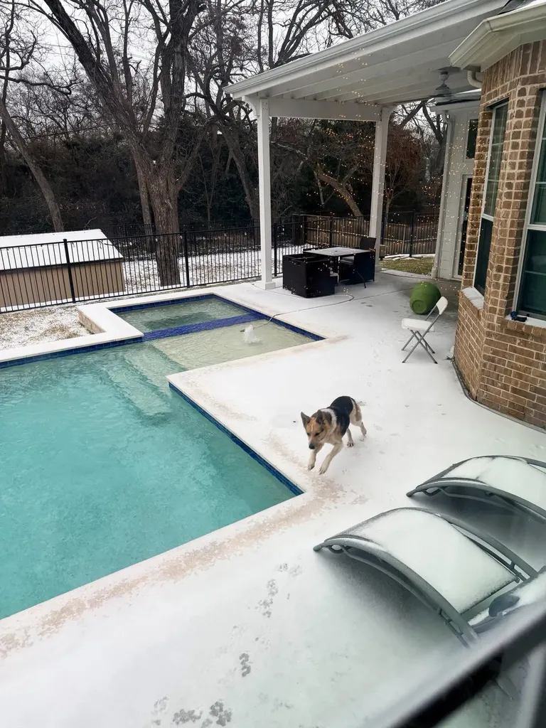 10106 Birdie Court Rowlett TX 75089