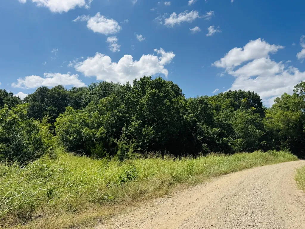 000 Cr 27300 Roxton TX 75477