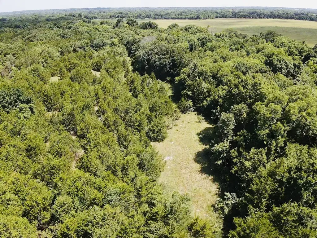 000 Cr 27300 Roxton TX 75477
