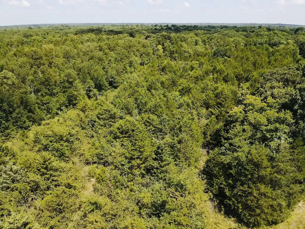 000 Cr 27300 Roxton TX 75477