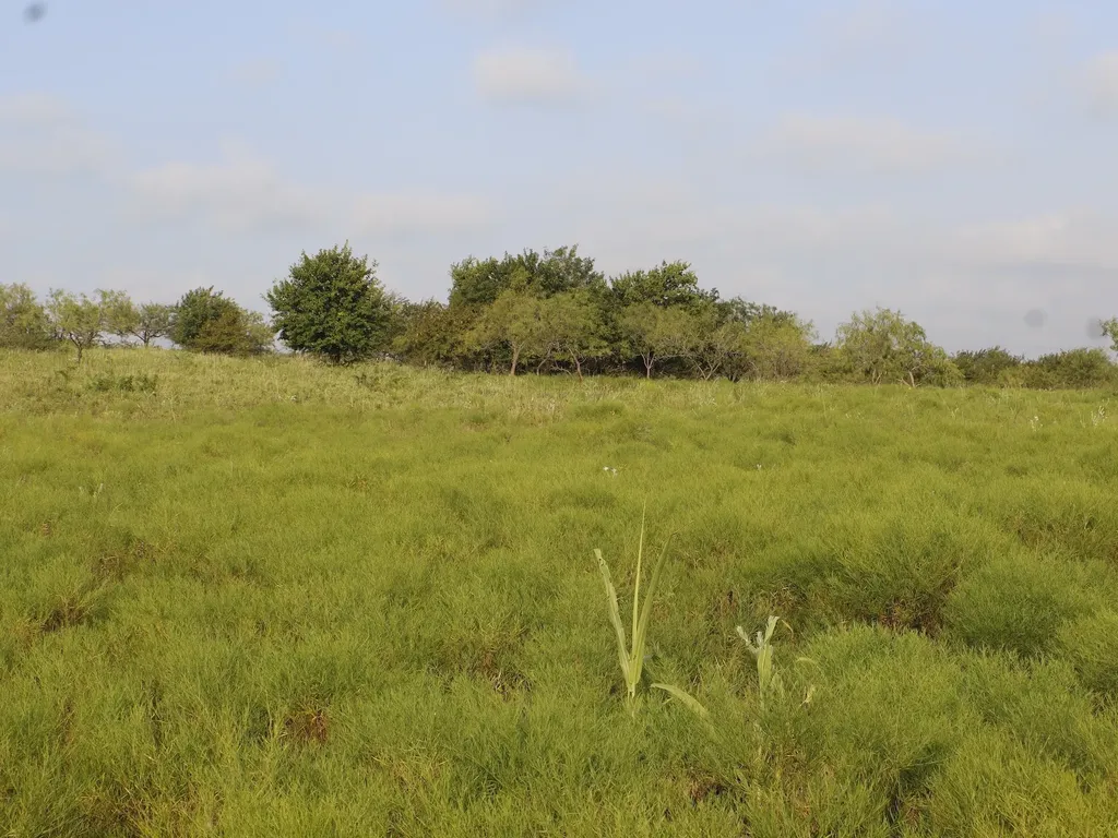Tbd Lot 2 Alsdorf Road Ennis TX 75119