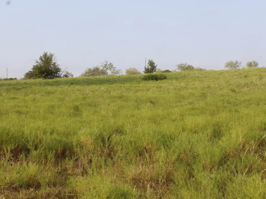 Tbd Lot 2 Alsdorf Road Ennis TX 75119