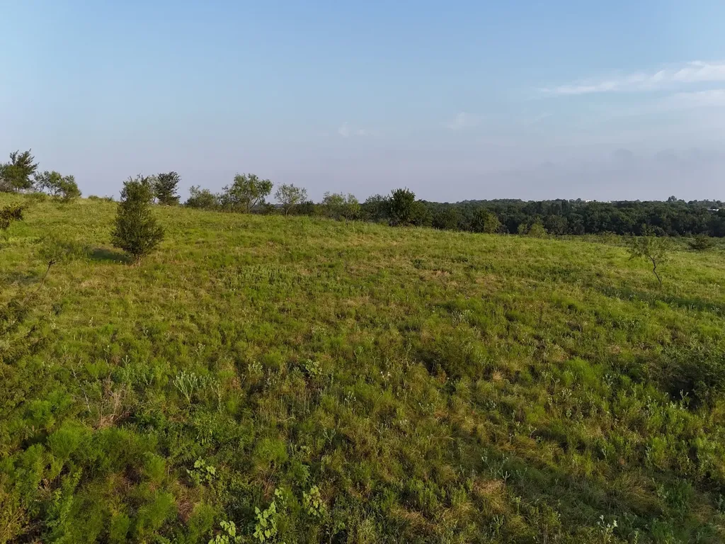 Tbd Lot 2 Alsdorf Road Ennis TX 75119