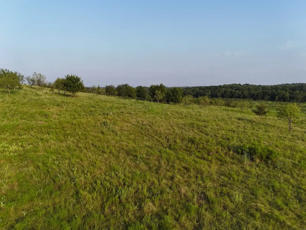 Tbd Lot 2 Alsdorf Road Ennis TX 75119