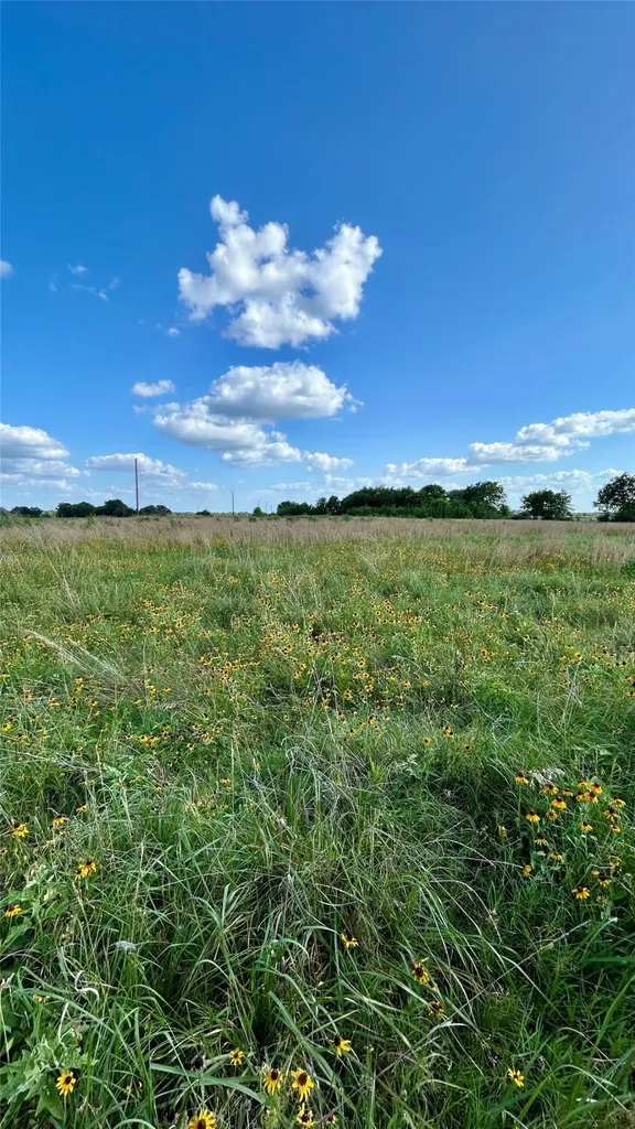 000 Rs County Road 1320 Emory TX 75440